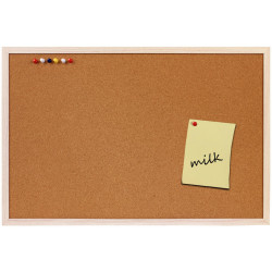 NÁSTĚNKA, korek, 40/60/1 cm