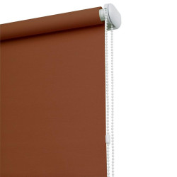 Nástěnná roleta 100 x 175 k 827