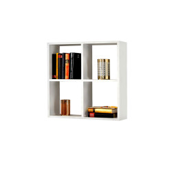 NÁSTĚNNÝ REGÁL, 60/60/18 cm