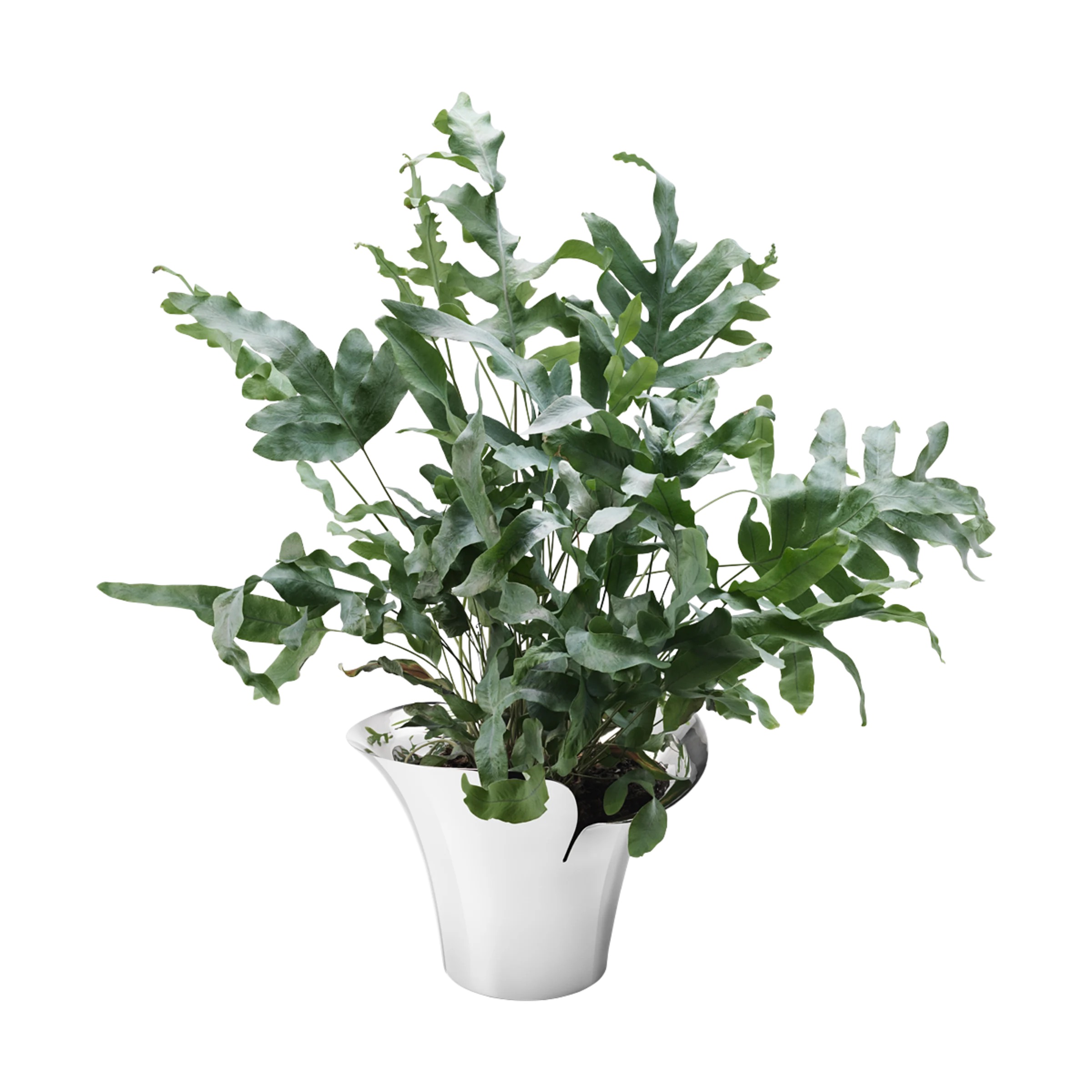 Nerezový květináč BLOOM BOTANICA, 32,5 cm  - Georg Jensen