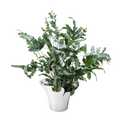 Nerezový květináč BLOOM BOTANICA, 32,5 cm  - Georg Jensen