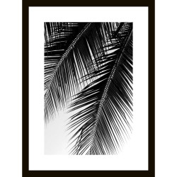 OBRAZ NA SKLE, rostliny, 30/40/1,40 cm