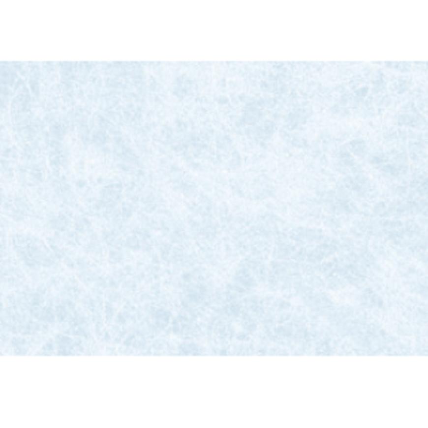 Okenní fólie reispapier weiss f3460350 0.450 x 2m