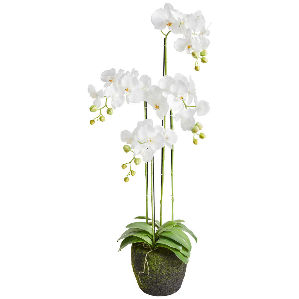 ORCHIDEJ 100 cm
