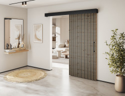 Posuvné dveře Tauricio Varianta: Bez tichého dojezdu