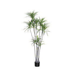 Pottery Pots Realistická umělá rostlina Dracéna marginata, vel. XL - ø 50 cm | v. 230 cm - PotteryPots