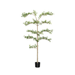 Pottery Pots Realistický umělý strom Bucida buceras Shady Lady, více velikostí - PotteryPots Velikost: L - ø 48 cm | v. 180 cm