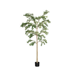 Pottery Pots Realistický umělý strom Bucida buceras Shady Lady, více velikostí - PotteryPots Velikost: XL - ø 80 cm | v. 280 cm