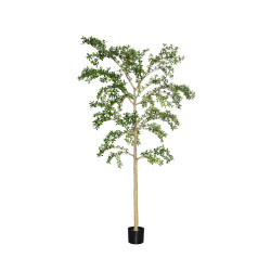 Pottery Pots Realistický umělý strom Bucida buceras Shady Lady, více velikostí - PotteryPots Velikost: XXL - ø 90 cm | v. 390 cm