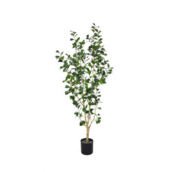 Pottery Pots Realistický umělý strom Fíkus triangularis, více velikostí - PotteryPots Velikost: L - ø 45 cm | v. 180 cm