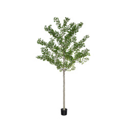 Pottery Pots Realistický umělý strom Ginko Biloba, více velikostí - PotteryPots Velikost: XXL - ø 55 cm | v. 360 cm