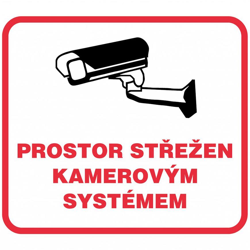 Prostor střežen kamerovým systémem 90x90 mm samolepka