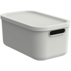 Rotho BOX S VÍKEM 12 l