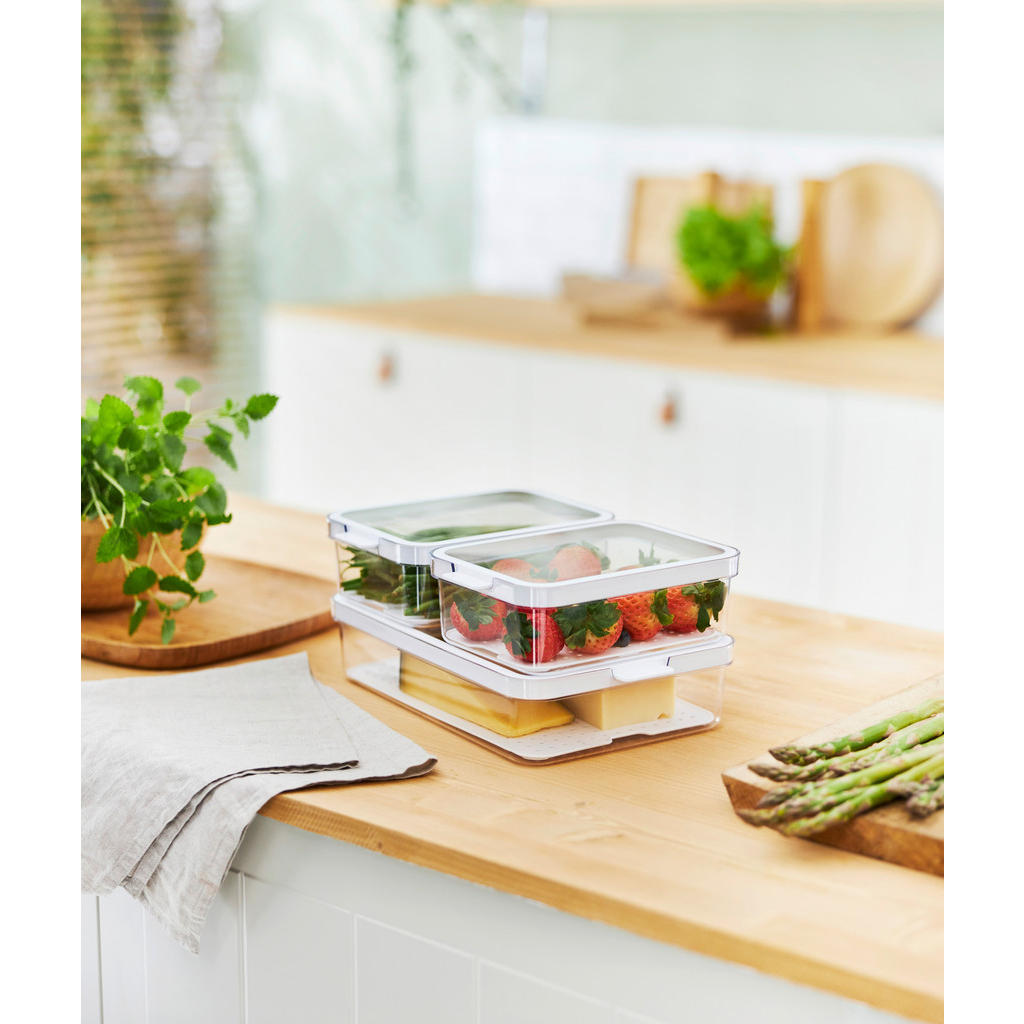 Rotho KRABIČKA DO LEDNICE