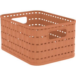 Rotho ÚLOŽNÝ BOX plast