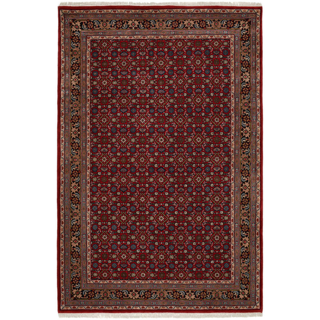 Rug and Roll ORIENTÁLNÍ KOBEREC Indo Herati, klasický, odolný 170x240 cm