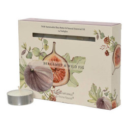 SADA ČAJOVÝCH SVÍČEK 12 kus fík, bergamot