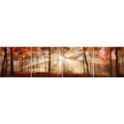 Skleněný panel 60/240 Forest-1 4-Elem