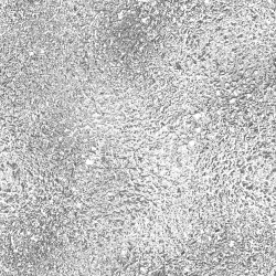 Skleněný panel 60/60 Mercury Esg