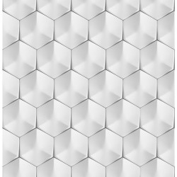 Skleněný panel 60/60 Polar Hex Esg