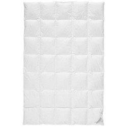Sleeptex CELOROČNÍ PŘIKRÝVKA, 135/200 cm, kachní prachové peří, kachní peří