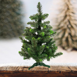 Stromek borovice zelené koncovky 80 cm.