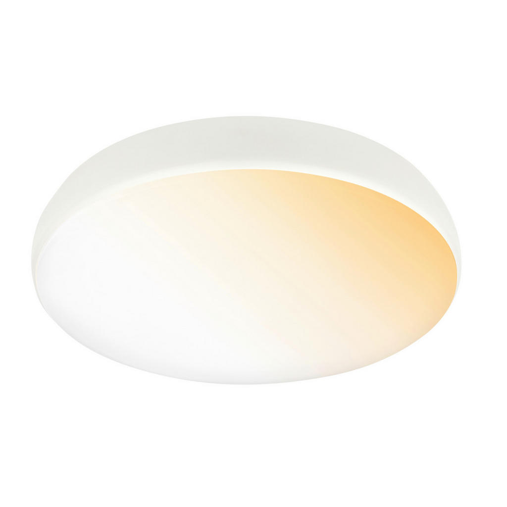 STROPNÍ LED SVÍTIDLO, 35/8,5 cm