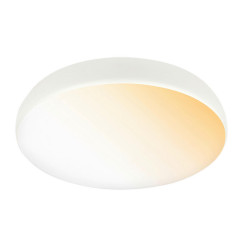 STROPNÍ LED SVÍTIDLO, 35/8,5 cm