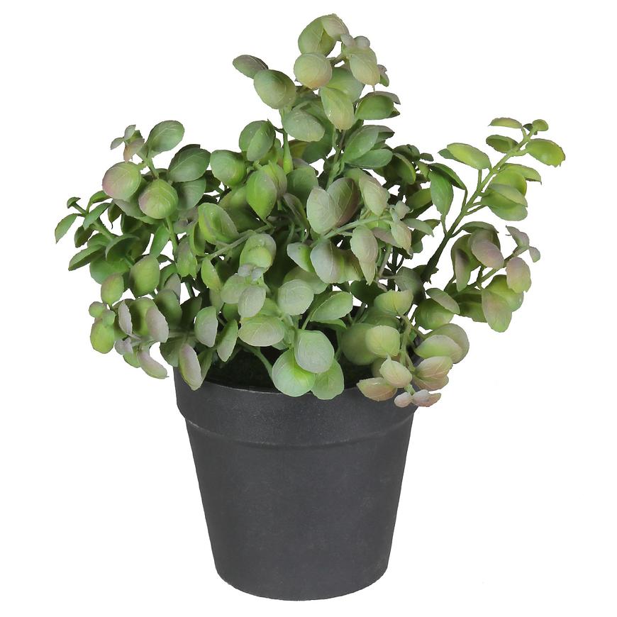 Umělá květina v květináči  herbs 2 20cm