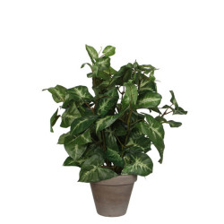 UMĚLÁ ROSTLINA 35 cm
