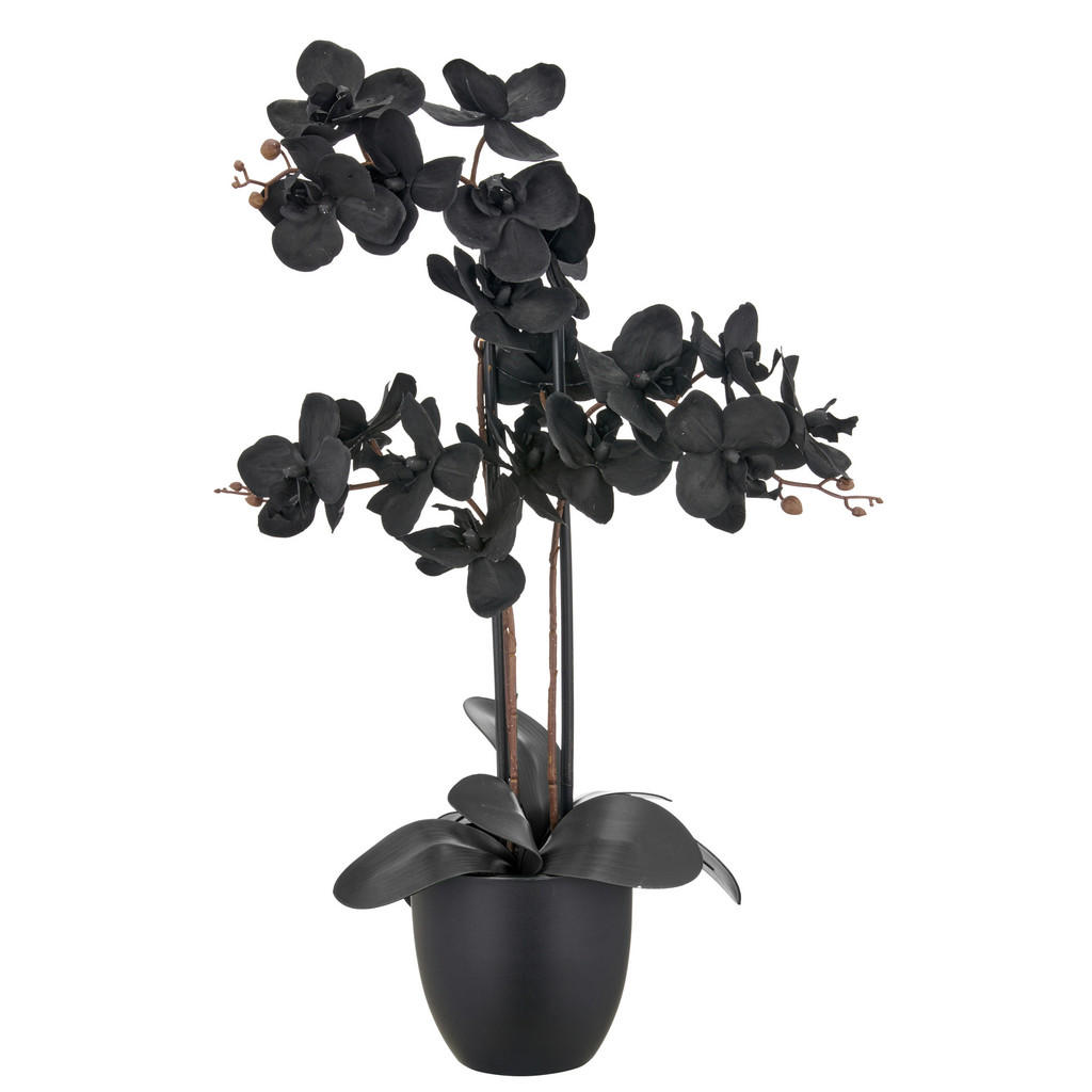 UMĚLÁ ROSTLINA 70 cm