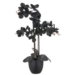 UMĚLÁ ROSTLINA 70 cm