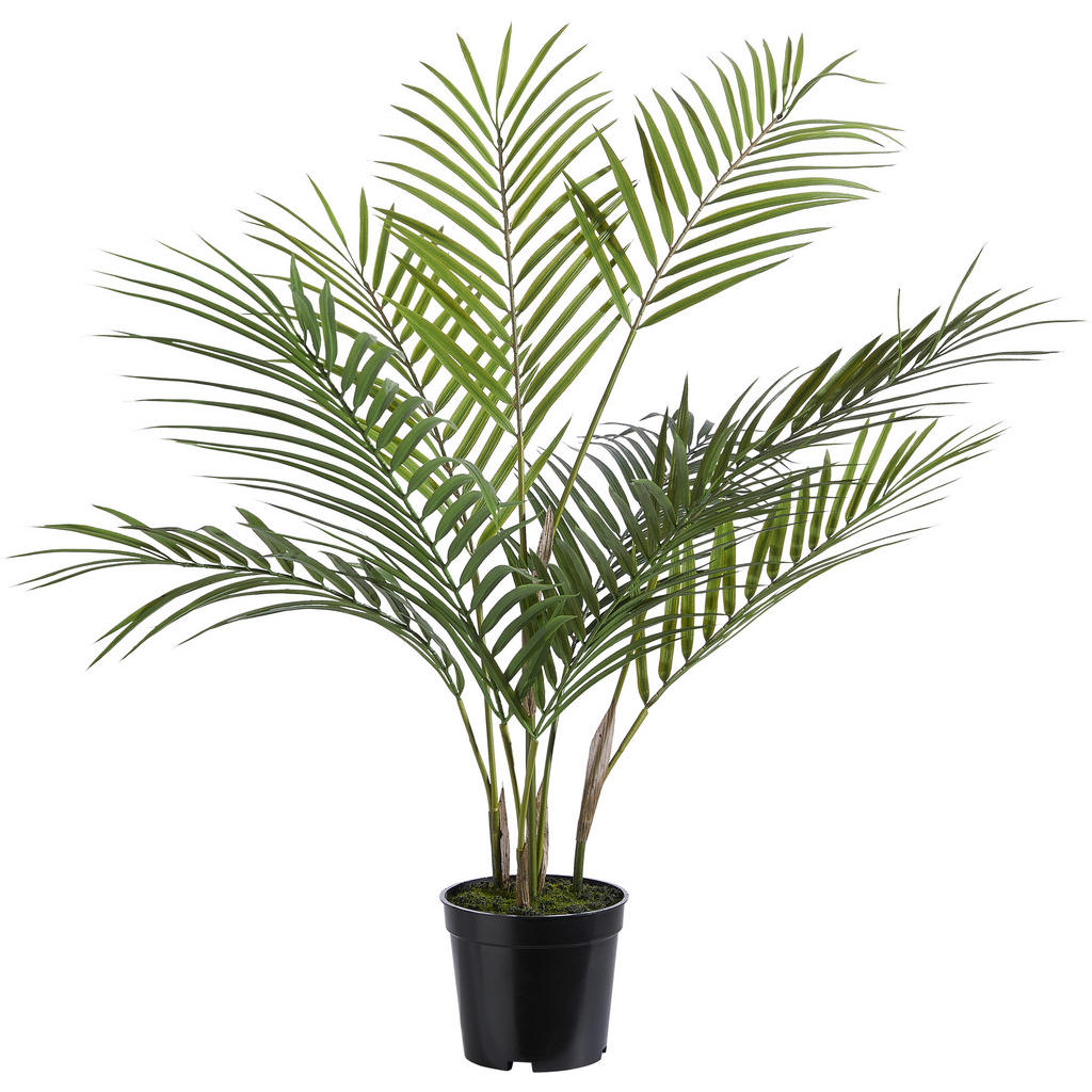 UMĚLÁ ROSTLINA 75 cm