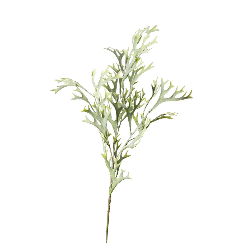 UMĚLÁ ROSTLINA kapradí 78 cm