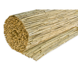 XXXL CLONA NA PLOT 600/160 cm