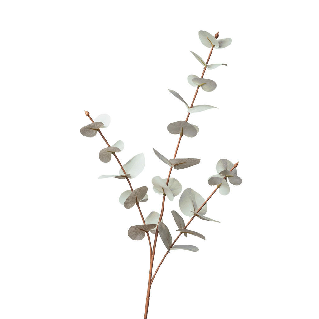 XXXL DEKORAČNÍ VĚTVIČKA eukalyptus/blahovičník 68 cm